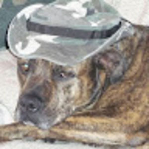 Meet your Posher, Stacey